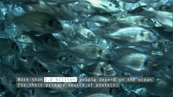 A PLastic Ocean